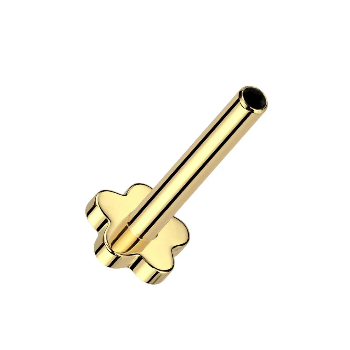 14K Gold Threadless Smooth Snake Earring with Titanium Backing