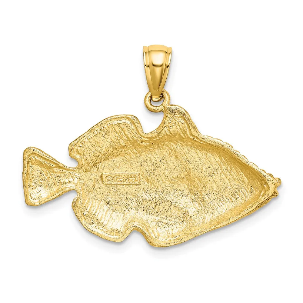 14K Polished /Engraved Striped Fish Charm