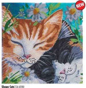 CAK-A170M Sleepy Cats FRAMED CANVAS KIT