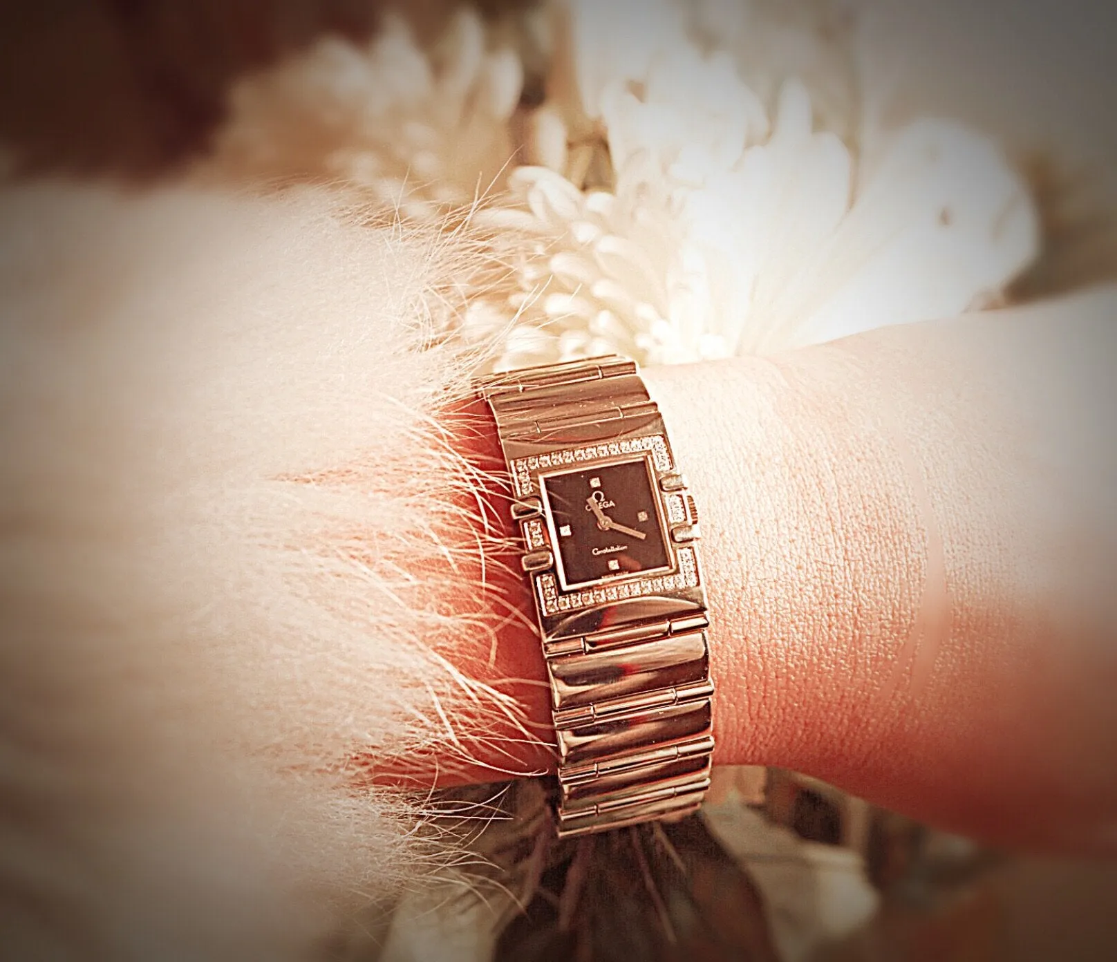 Elegant Omega Constellation - Stainless Steel & Diamond Watch