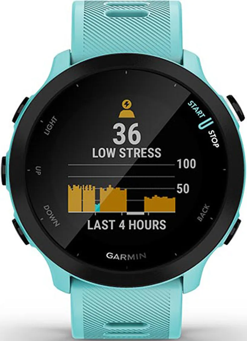 Garmin Forerunner 55 GPS Running Watch
