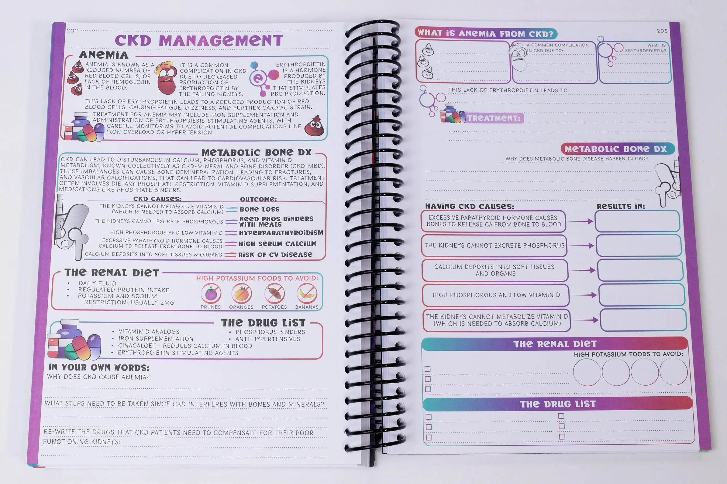 Give Me Everything! STUDENT Nurse Bundle