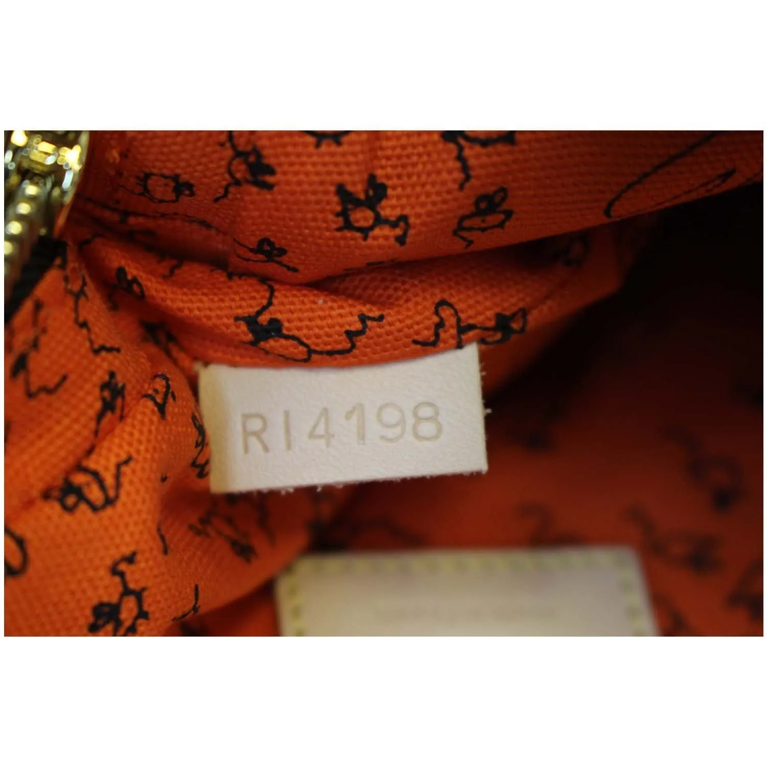 LOUIS VUITTON Paname Monogram Grace Coddington Catogram Shoulder Bag