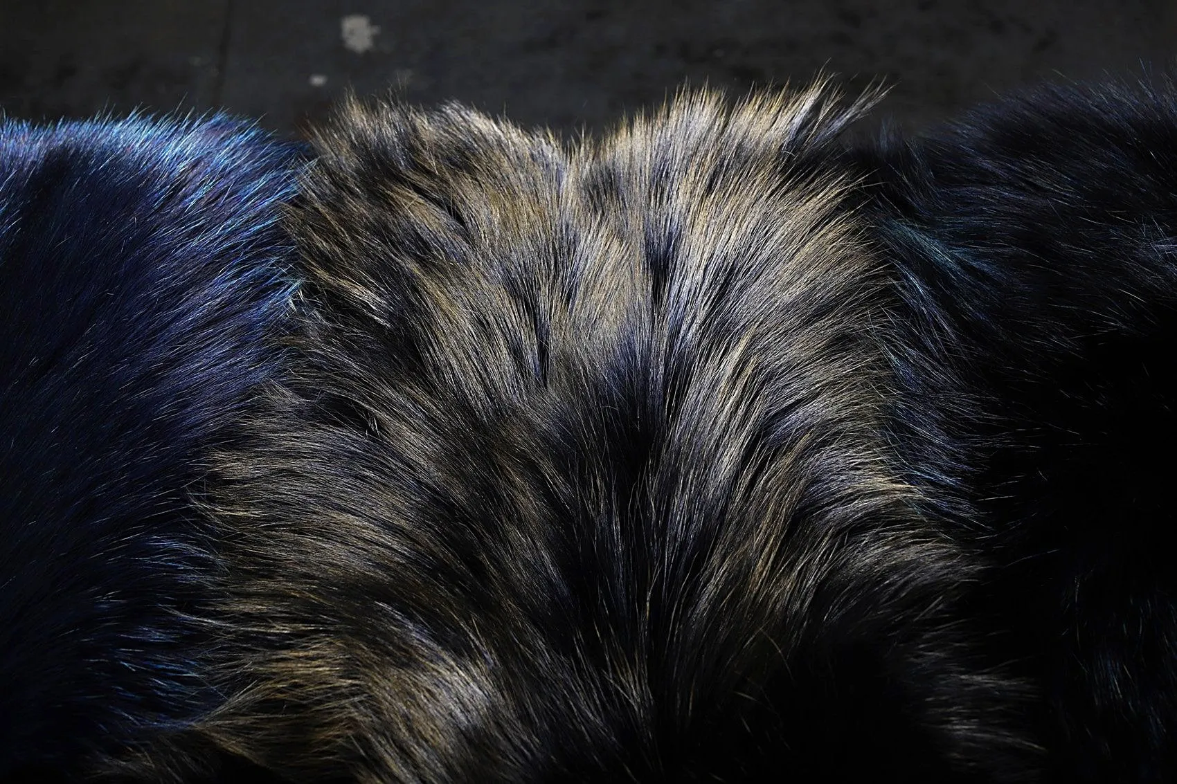 METALLIC FOX