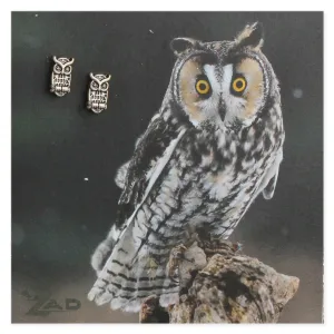 Picture Horned Owl Post Earings