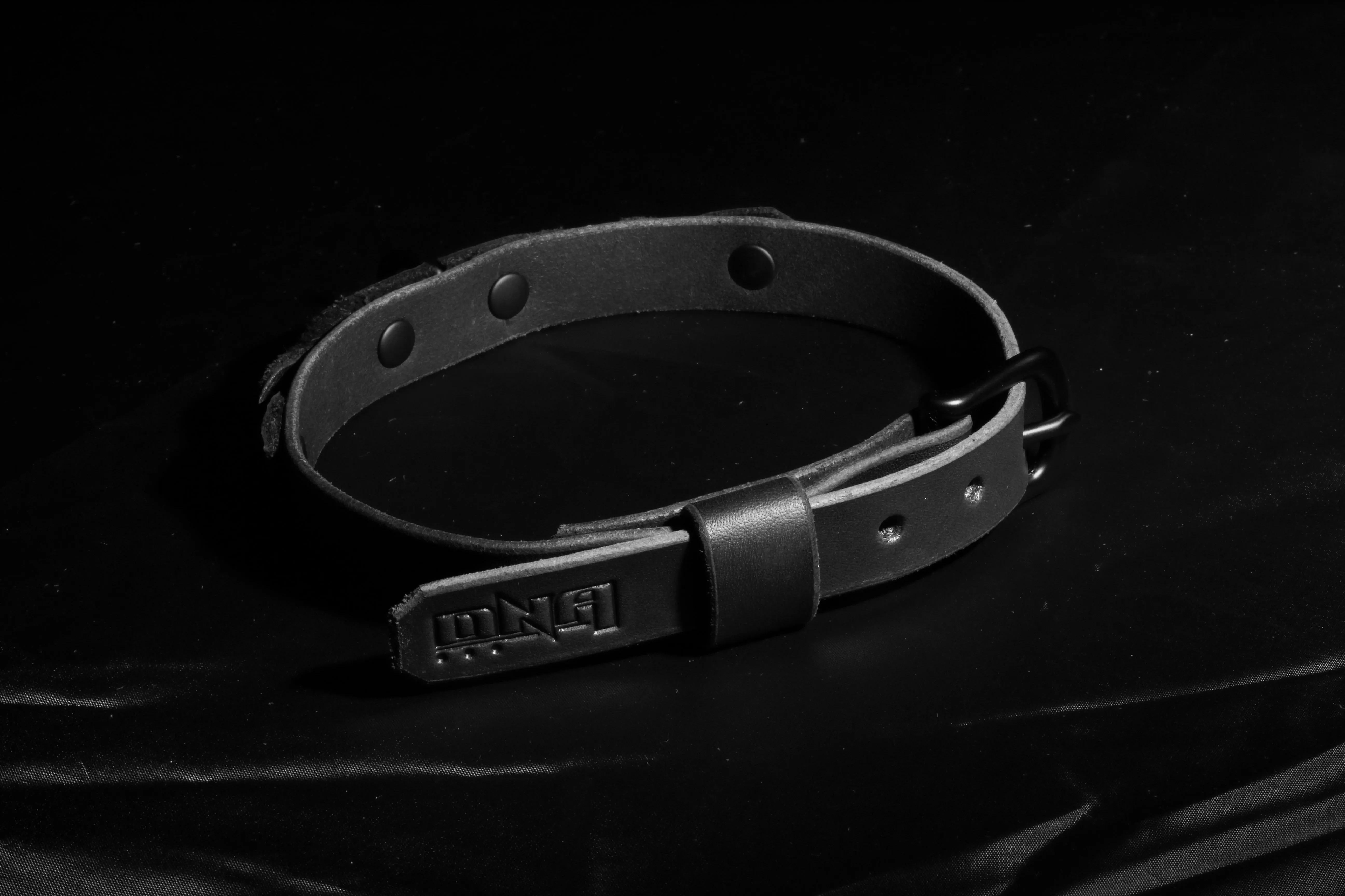 "Dark Nebula" Nova Fashion Night Collar