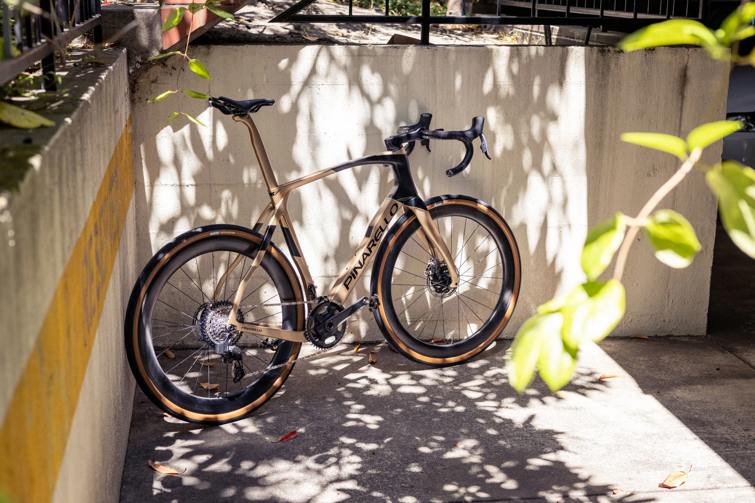 Semi-Custom Pinarello Grevil F