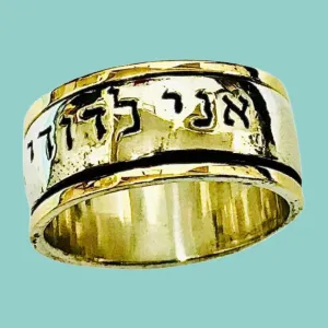 Spinner ring Bluenoemi Israeli jewelry unisex rings
